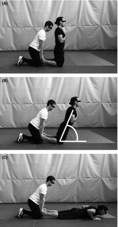 Nordic Exercise