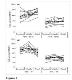 Nordic Hamstring Curl